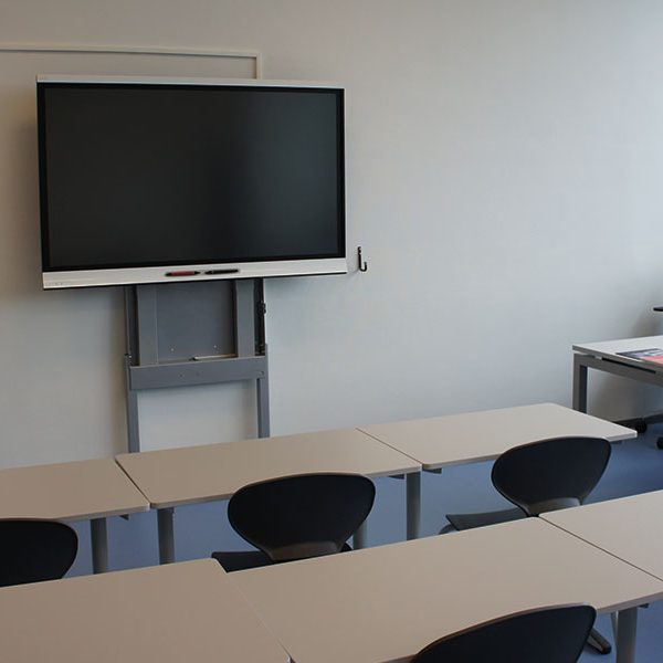 ergoxs-ergoframe-fine-select-zwei-saulen-wandlift-tv-effw5225zp-project-bildung2