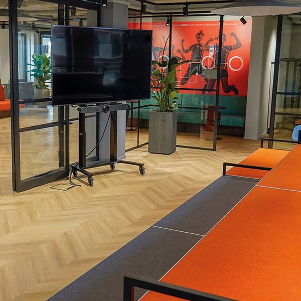 ergoxs-ergoframe-motion-zwei-saulen-rollgestell-eff5251z-projekt-videoconference