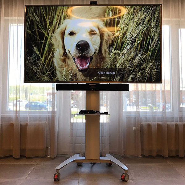 ergoxs-flexline-active-lite-rollgestell-trs18av44-laptopablage-lapa1-soundbarmount-sbmb1