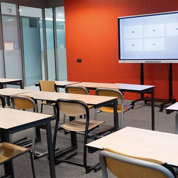 ergoxs-slimline-compact-mobile-rollgestell-eff2221z-projekt-bildung2