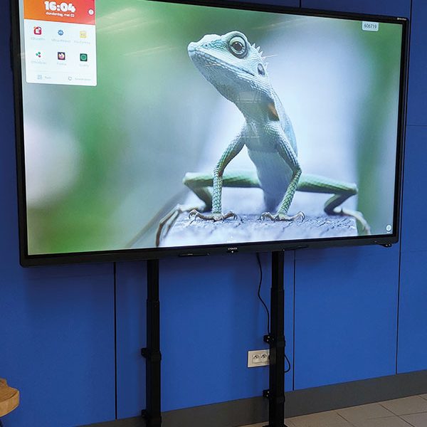 ergoxs-slimline-compact-wall-effw2231z-projekt